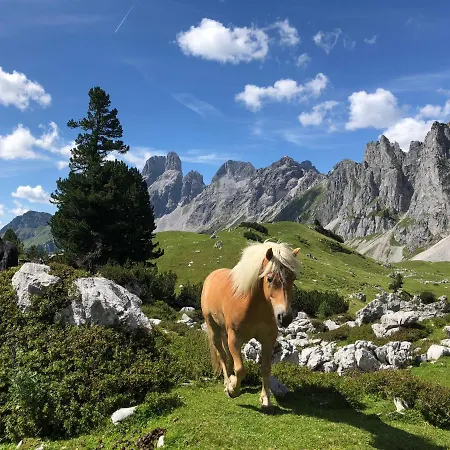 Апартаменты Haus Kleinberg